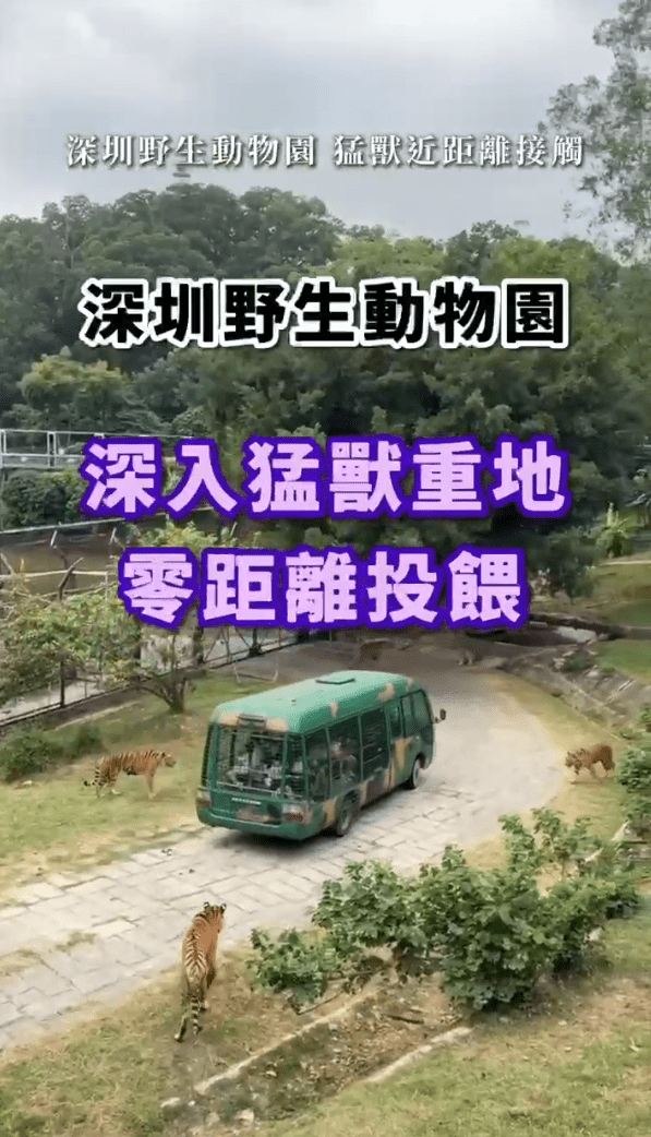 深圳野生動物園攻略！🦁 睇動物啦！