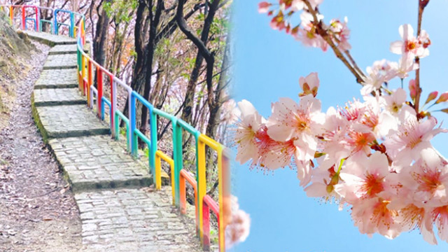 【不斷更新】超過30條新手靚景行山路線／郊遊好去處！每日自煮菜式甜品提案！