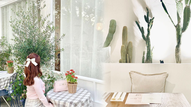 【打卡Cafe情報】精選本地特色咖啡店推介／請您試食「燕窩梳乎厘卷」！