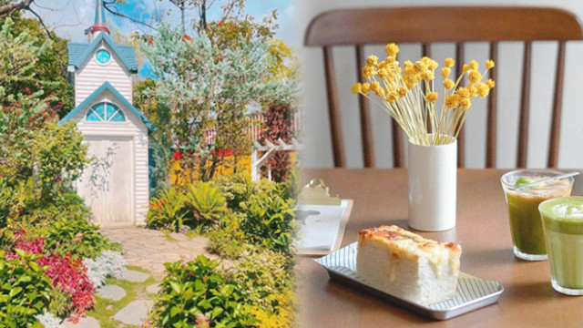 【7月精選】最新玩樂好去處推介！文青打卡、主題展覽、輕鬆郊遊、工作坊、新手出海路線都有～