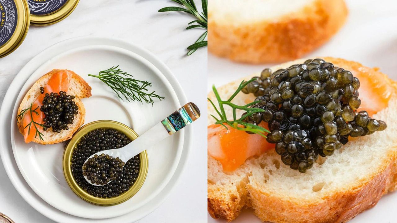 【即減HK$50】North Gold Caviar Hong Kong | 俄羅斯鱘魚子醬