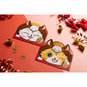 開運利是封套裝