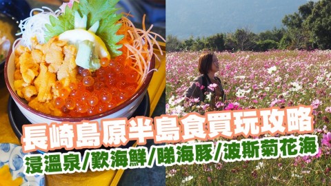 長崎島原半島食買玩攻略 浸溫泉/歎海鮮/睇野生海豚/波斯菊花海
