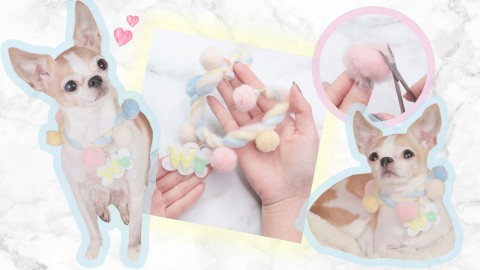 DIY棉花糖寵物頸圈！為毛孩製作獨一無二小手作！