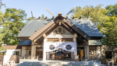 北海道超可愛神籤 雀、魚形神籤+參拜教學