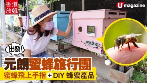 【香港放遊】蜜蜂旅行團