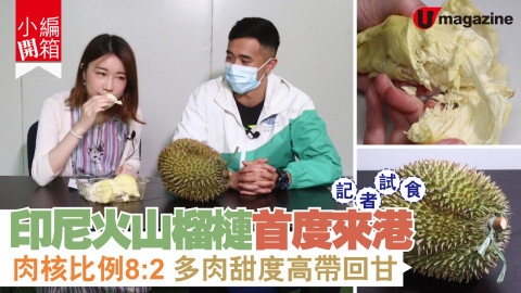 【搵食熱話】記者試食！印尼火山榴槤首度來港