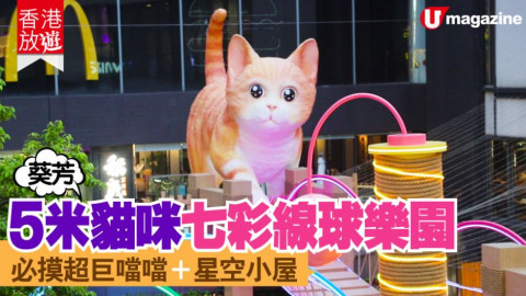 【香港放遊】超放大萌貓陪過中秋