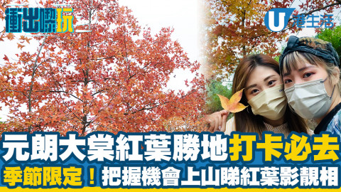 【元朗好去處】直擊元朗大棠楓香林紅葉轉紅！假期特別交通安排！附前往交通方法