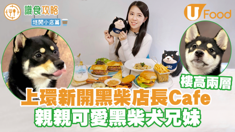 上環新開兩層高寵物友善Cafe　兩隻可愛黑柴犬兄妹店長駐場歡迎大家！