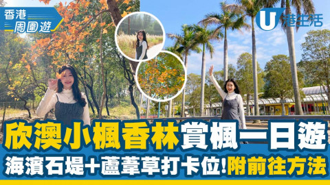 【欣澳好去處】欣澳小楓香林賞楓一日遊 海濱石堤/棕櫚樹/蘆葦草打卡位！附前往方法