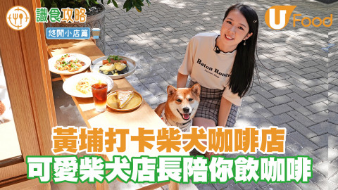 Black Sugar Coffee柴犬咖啡店黃埔開新分店　可愛柴犬店長／打卡咖啡Mocktails