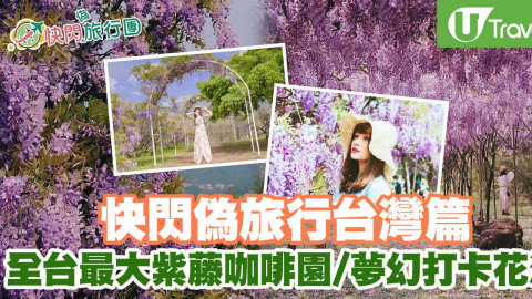 快閃偽遊台灣！全台最大紫藤咖啡園、夢幻打卡花海