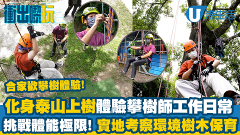【衝出嚟玩】大埔林村樹屋田莊挑戰攀樹體驗！新手皆能化身泰山上樹/了解樹木保育發展