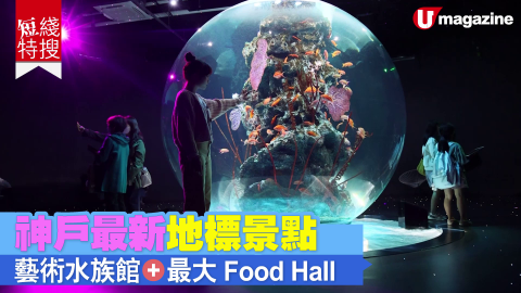 【短線特搜】神戶最新地標景點 藝術水族館、最大Food Hall