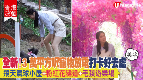 【香港放遊】城市綠洲！3 萬平方呎寵物打卡新點