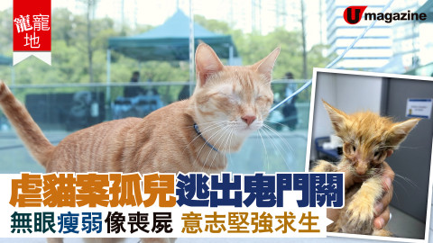 【寵寵地】睇住肥肥白白嘅V仔，點諗到原來佢曾經皮包骨有如喪屍……