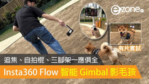 【實試】Insta360 Flow 智能 Gimbal 影毛孩一流！追焦、自拍棍、三腳架一應俱全