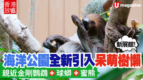 【香港放遊】海洋公園全新展館「樹懶與好友」正式開幕啦！