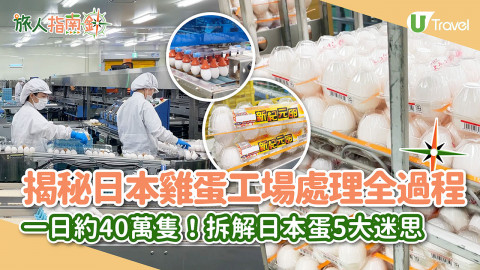 【旅人指南針】揭秘日本雞蛋工場處理全過程 一日約40萬隻！拆解日本蛋5大迷思