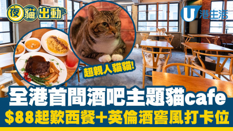 【今期Chill抵】全港首間英倫酒窖「貓貓酒吧」cafe登陸旺⻆ !18隻貓貓超萌登場、$88起歎西餐/cocktail