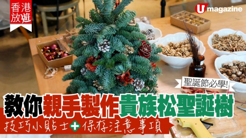 【香港放遊】教你親手製作貴族松聖誕樹 技巧小貼士+保存注意事項