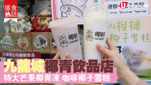 【搵食熱話】九龍城椰青飲品店 特大芒果椰青凍 咖啡椰子雪糕