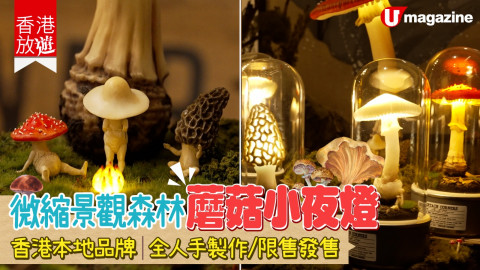 【香港放遊】微縮景觀森林蘑菇小夜燈 香港本地品牌/全人手製作/限售發售