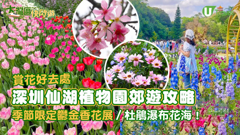 【大灣區快閃遊】深圳仙湖植物園郊遊賞花攻略  季節限定鬱金香花展／杜鵑瀑布花海！