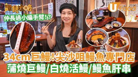 34cm巨型鰻魚！尖沙咀鰻魚專門店 蒲燒巨鰻／白燒活鰻／鰻魚肝串