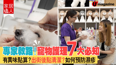 【家居達人】專家教路！寵物護理7大必知 有異味點算？出街後點清潔？如何預防濕疹
