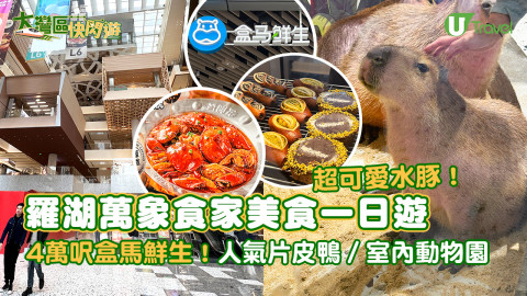 【大灣區快閃遊】深圳羅湖萬象食家餐廳美食一日遊！人氣片皮鴨／室內動物園／盒馬鮮生