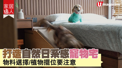 【家居達人】打造自然日系感寵物宅 物料選擇、植物擺位要注意