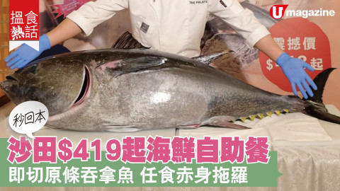 【搵食熱話】秒回本 ! 沙田$419起海鮮自助餐 即切原條吞拿⿂ 任食赤身拖羅