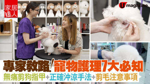 【家居達人】專家教路！寵物護理7大必知 無痛剪狗指甲、正確沖涼手法、剪毛注意事項