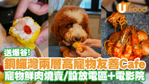 銅鑼灣兩層高寵物友善Cafe｜寵物鮮肉燒賣/設放電區+電影院