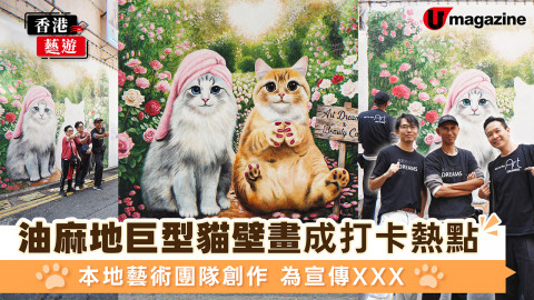 【香港藝遊】油麻地巨型貓壁畫成打卡熱點  本地藝術團隊創作/為宣傳XX
