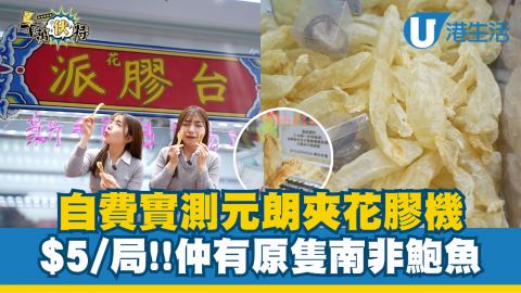 自費實測元朗夾花膠機  $5/局!仲有原隻南非鮑魚