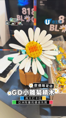 GD小雛菊積木啟德限定店 兩大打卡位/亞洲限量周邊搶先買