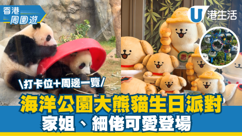 \打卡位+周邊一覽/ 海洋公園大熊貓生日派對 家姐、細佬可愛登場