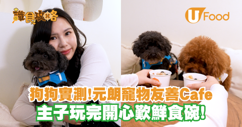 狗狗實測元朗寵物友善Cafe！寵物鮮食碗/嫩滑厚蛋三文治/巴斯克蛋糕