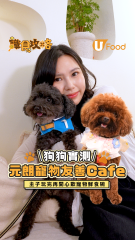 狗狗實測元朗寵物友善Cafe！寵物鮮食碗/嫩滑厚蛋三文治/巴斯克蛋糕
