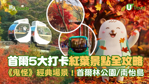 首爾5大打卡紅葉景點全攻略  《鬼怪》經典場景！首爾林公園/南怡島