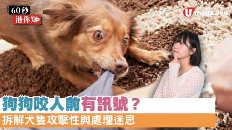 狗狗咬人前有訊號？ 拆解犬隻攻擊性與處理迷思
