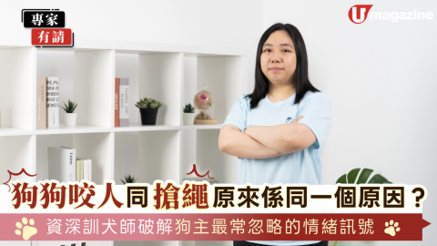 狗狗咬人同搶繩原來係同一個原因？ 資深訓犬師破解狗主最常忽略的情緒訊號