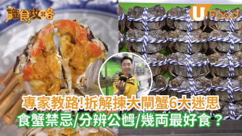 專家教路!拆解揀大閘蟹6大迷思  食蟹禁忌/分辨公乸/幾両最好食？